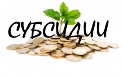 Министерство промышленности и торговли России объявило конкурс на право получения субсидии из федерального бюджета для возмещения части затрат
